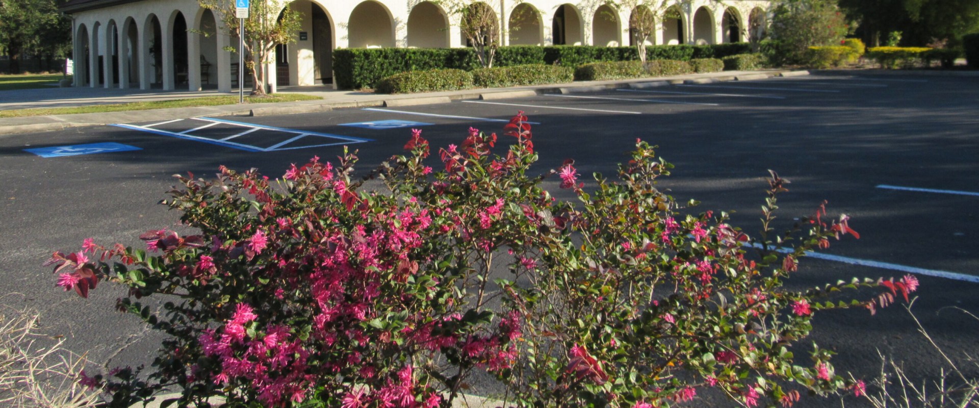 Addressing Social and Political Issues in Bradenton, Florida Churches: A Guide for Churches